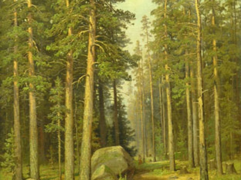 Colecţia de pictură rusă