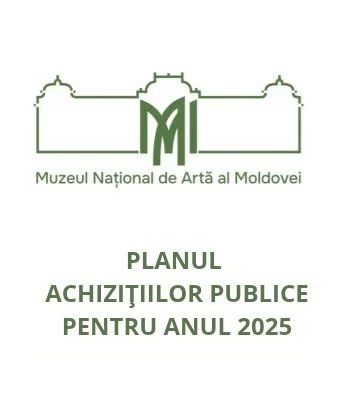 Planul achizitiilor publice pentru anul 2025